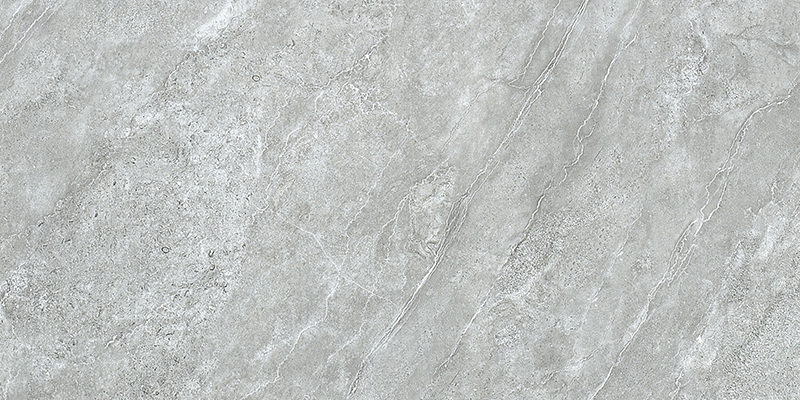 Y1-GT48921世纪摩根浅灰